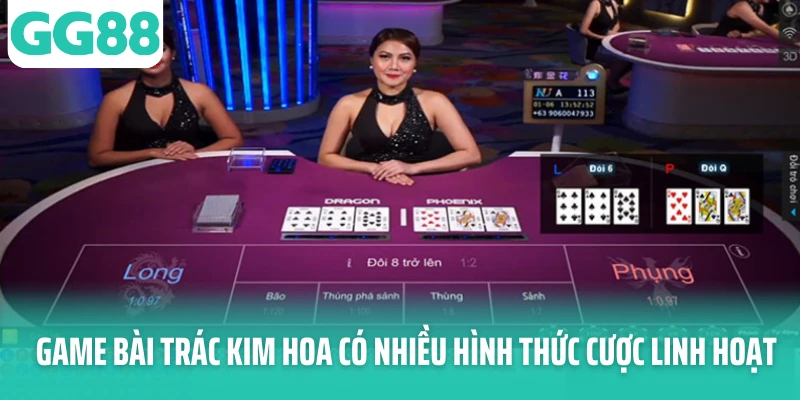 Game bài Trác Kim Hoa có nhiều hình thức cược linh hoạt Game bài Trác Kim Hoa có nhiều hình thức cược linh hoạt